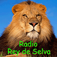 Radio Rey De Selva